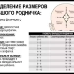 Какое значение имеют роднички на голове у ребенка?