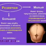 Какое значение имеют роднички на голове у ребенка?